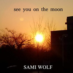 Will You Still Love Me Tomorrow by Sami Wolf