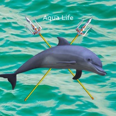Aqua Life - Sit Down Fish