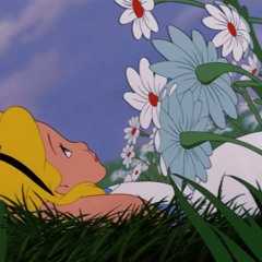 The Flowers (prod. Nimbus Beats)