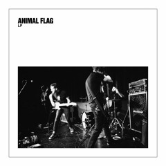 Animal Flag - LP