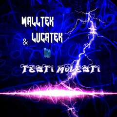 WallTek - Testi Molesti - Prod by : Lucatek