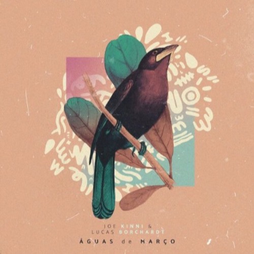Joe Kinni & Lucas Borchardt - Aguas de Março