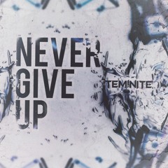 Teminite - Never Give Up
