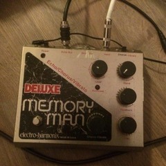 EHX Deluxe Memory Man Big Box
