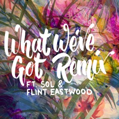 What We've Got Remix feat. SOL & Flint Eastwood