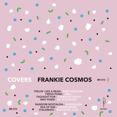 Frankie Cosmos "Fresh Pond" (Krill cover)