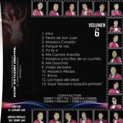 La Super Banda Señor Del Arbol-Mosaico Banda A Los Filos De Un Cuchillo (Vol 6) "Arbolitos Orquesta"