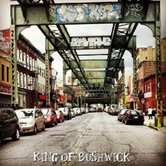 Incarserated Scarfaces