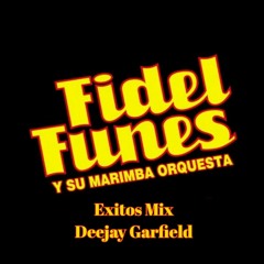 Fidel Funes Mix Exitos - Deejay Garfield Gt