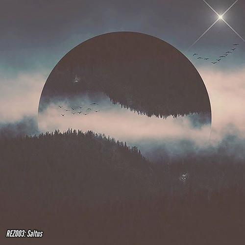 REZ003: Saltus