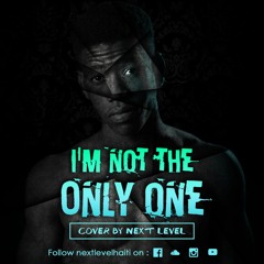 I'm not the only one (cover by Fritzoe | Next Level)