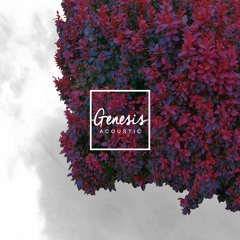 Genesis - Acoustic