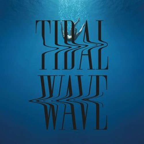 Tidal Wave (David Thulin Remix) by Rapture Ruckus