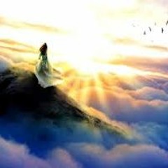 Sanctuary - Hummingbird Lin