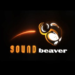 Energetic Funk - Energetic | Royalty Free Music | Stock Music | Audiojungle