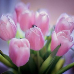 Tami Chynn – What Do I Do Now