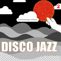 VA DISCO JAZZ 2  mixtape by Tom Wieland free soul inc Vienna
