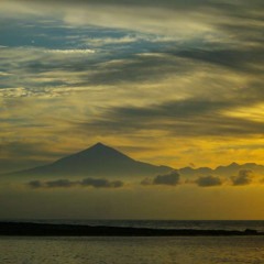 Machinedrum - Gunshotta(mixed up by Shy Against I)