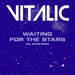 Waiting for the Stars (feat David Shaw)