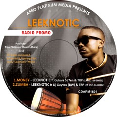 Zumba(Deep House)- Leeknotic ft Dj Guyvos & TRP