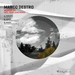 [DUBS 039] Marco Destro - Moody (Original Mix)