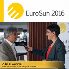 Adel El Gammal: International challenges for the PV industry
