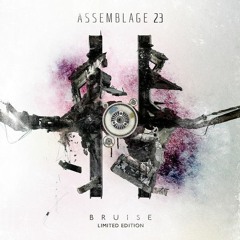 Assemblage 23 - The Noise Inside My Head (Desiccated by Aekson Valdes)