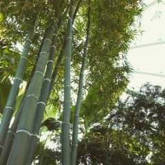 Feel It (Prod. JO'Neill)