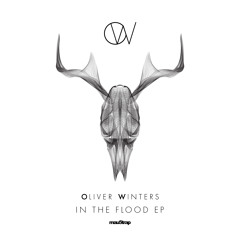 Oliver Winters - In The Flood (Dream Form)