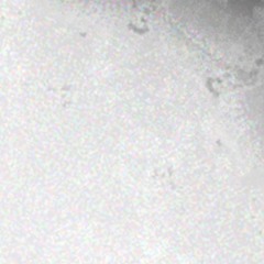 randommelot [2011]