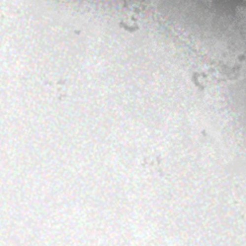 randommelot [2011]