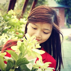 Nhạc Không Lời Hay Nhất Mọi Thời Đại