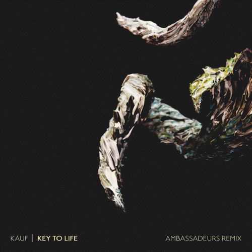 Kauf - Key To Life (Ambassadeurs Remix)