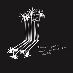 these palm trees aren't so tall