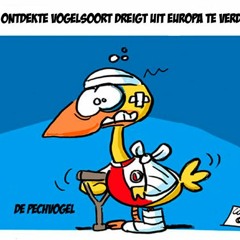 Tropical Ft. Coen van Nieuwburg