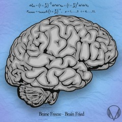 Brane Freeze - Light Speed Elevator