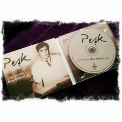 Suleyman Çarnewa ♩ Pesnê Yarê