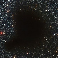 Free Trap Beat- Nightly