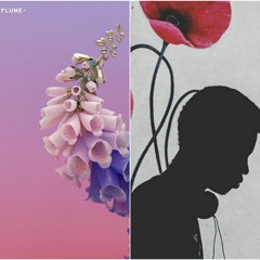 Flume-ze