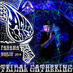 Acid Black @Tribal Gathering by Geoparadise, Panama, March 2016