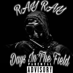 Ray Ray - Days In The Field