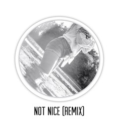 Party Next Door- Not Nice Remix (@EVYsings)