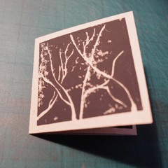 Tegh & Kamyar Tavakoli - Hollow