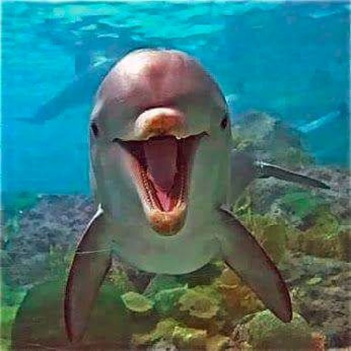 الزخرف والدخان والقدر بمسجد السوق الكبير بالكويت عام 1966