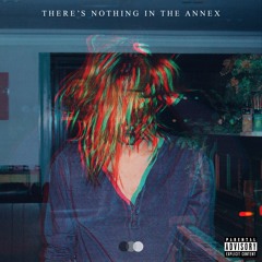 There's Nothing In The Annex