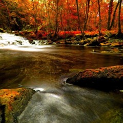 Eel River Song by Meredith Buck (Listen)