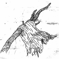 fast car (mom, don't listen 2 this)