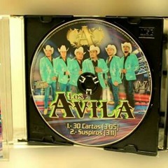 El Corrido De Jose Dias 🎶🎵 Los Avila De Mexquitic2016