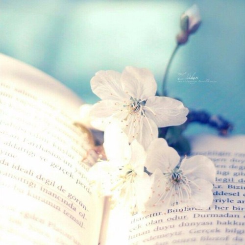 Nếu Như Không Thể Nói Nếu Như -Cover.Nobeat