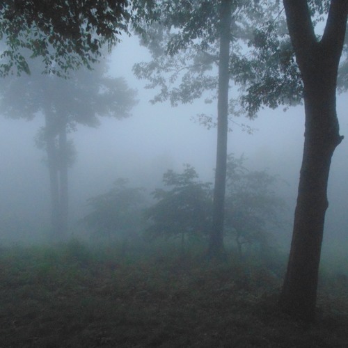 Ambiente